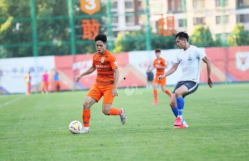 石家庄永昌爆料案件最新,揭秘背后真相与影响