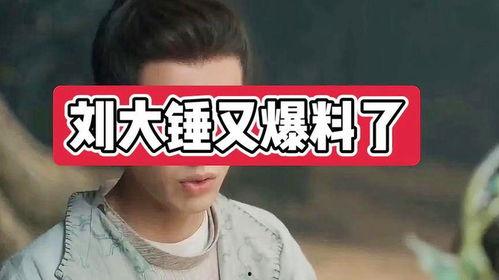 刘大锤爆料大全图片最新,揭秘娱乐圈最新热点事件